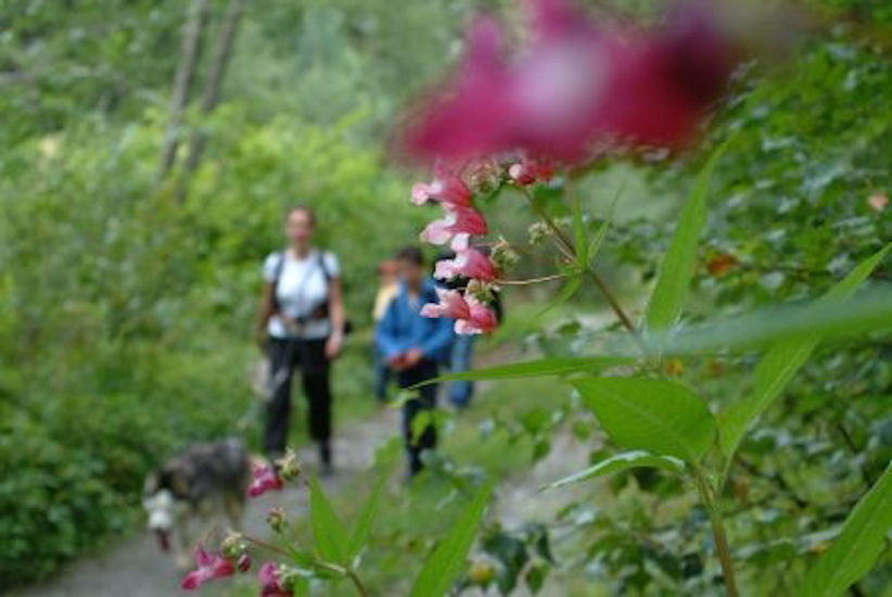 Après la pause, chacun repart comme une fleur !