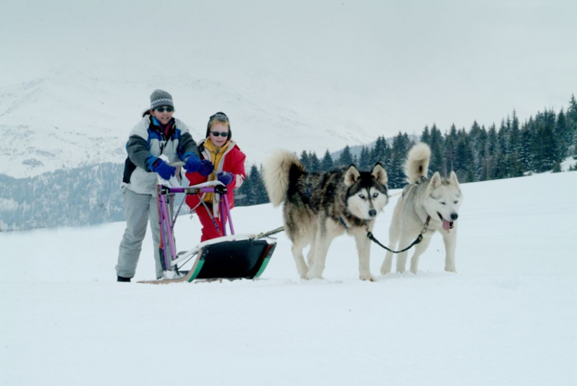 Gazelles des neiges ! (Khadija & Marion)