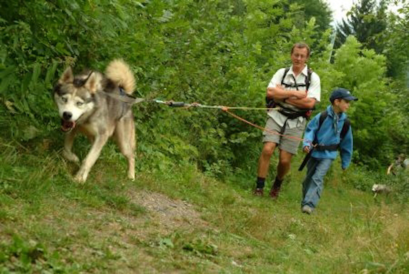 L’avantage, c’est qu’on n’a pas à regarder devant soi, c’est le chien qui guide ! Pas vrai, Antoine ?