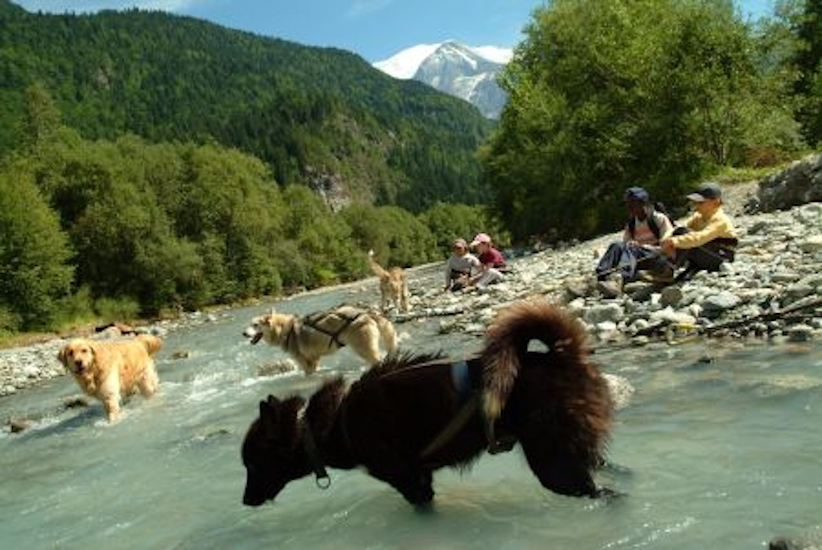 Alors ils méritent bien une pause eux aussi, ça tombe bien, la piscine est ouverte !