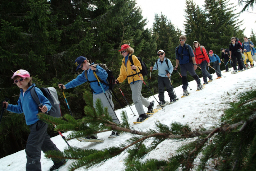 Si ils se trompent de chemin devant, on va tous dormir dans les bois !