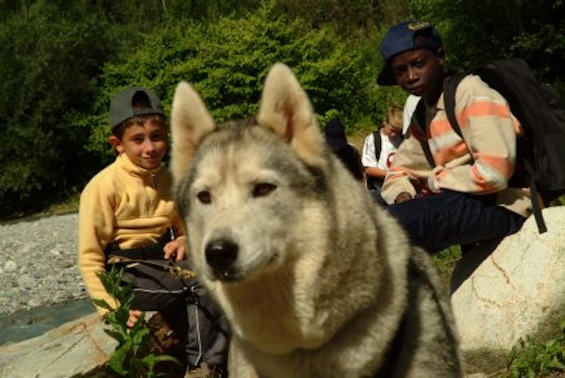 Je ne sais pas ce que ce chien a vu mais Victor et Tidiany ont intérêt à le surveiller car sinon, ce sont eux qui vont servir de traîneau !