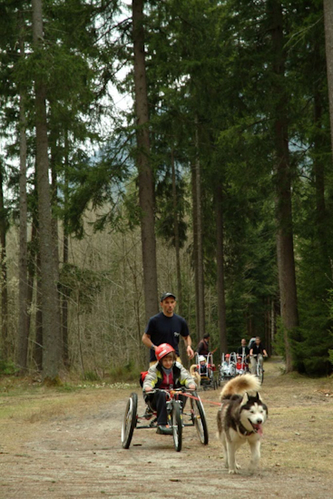 Avec le FTT et un bon chien, c’est facile de se faufiler entre les grands arbres de la forêt !