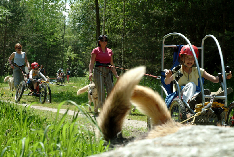 Les chemins sinueux des forêts ne peuvent être bien négociés qu’en FTT !