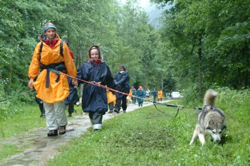 Tu crois qu’il a bu notre chien, il marche pas droit !