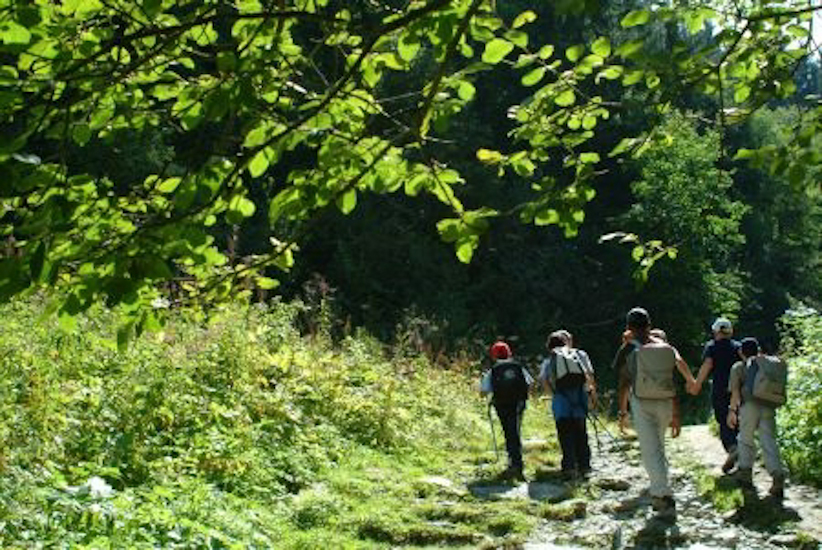 Randonneurs et feuilles de route !
