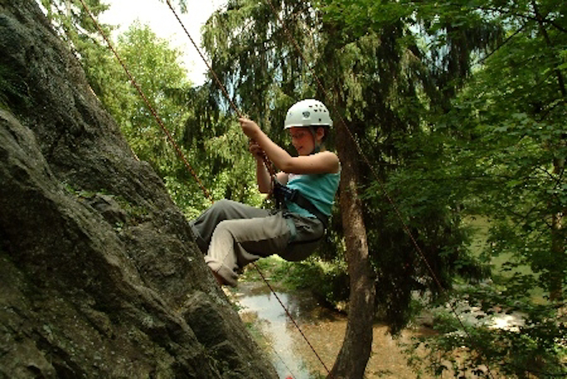 Leçon de rappel pour Tallulah qui est montée bien plus haut que les arbres qui l’entourent !