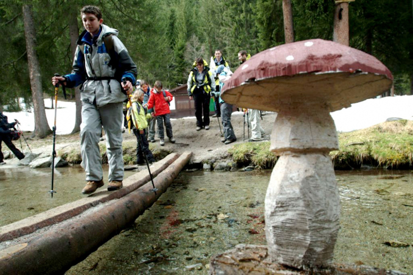 Oh ! Un champignon de Pâques !