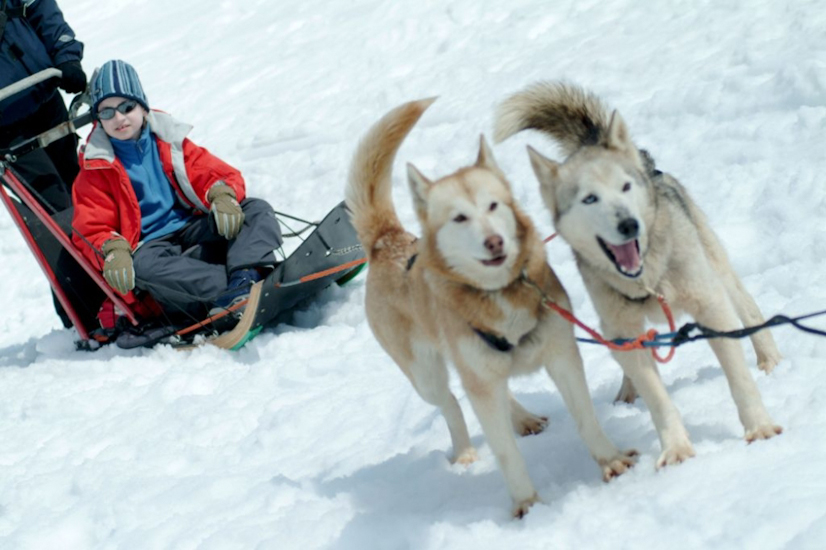 Bon d’accord je reviens mais tu ne te moques plus de ma "2 huskies" !