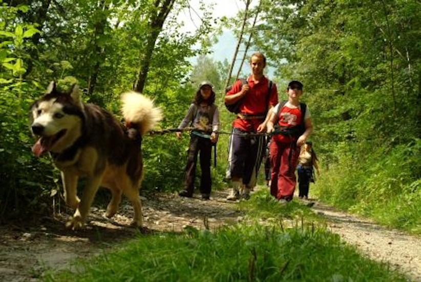 Même dans la forêt, pas la peine de se souvenir de son chemin, avec le toutou, on ne se perdra jamais !