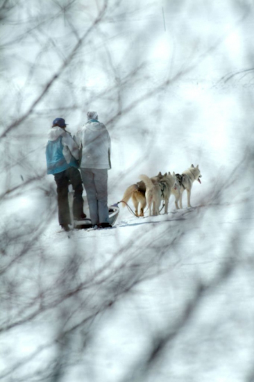 Les chiens aboient, la caravane passe !