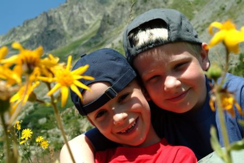 Antoine et Robert se lancent dans l’étude des fleurs des montagnes, les jaunes sont leur préférées.