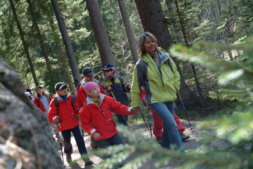 Qu’on est tranquille à marcher au milieu des arbres…