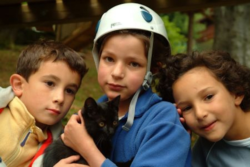 Vous ne le connaissiez pas ce petit chat ? Normal, c’est la toute nouvelle mascotte de notre équipe !