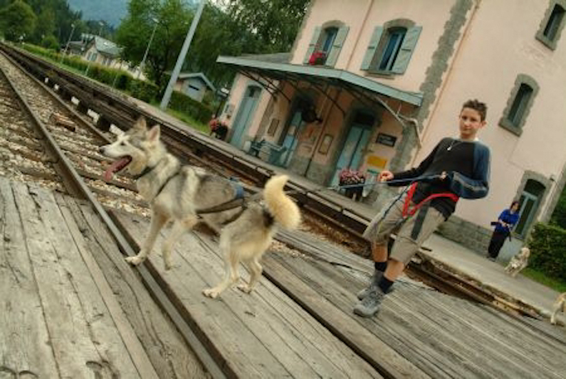 Allez, on traverse, mais surtout on regarde bien avant, un chien peut en cacher un autre !!!