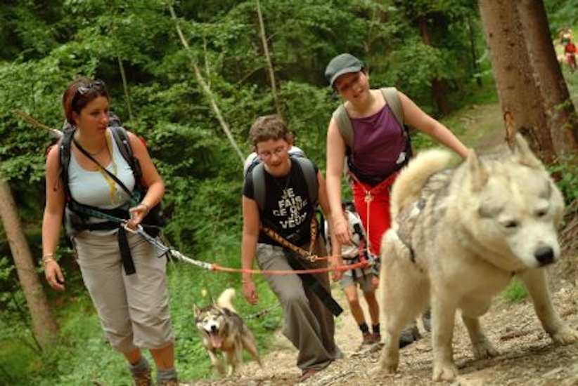 C’est souvent les derniers mètres les plus durs, mais le brave chien est là pour aider Tallulah et Inès à arriver tout en haut !