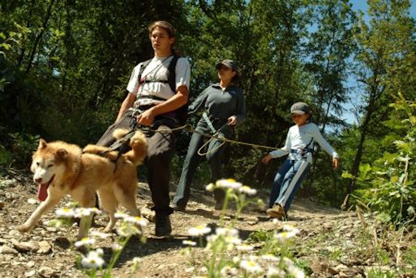 Allez encore une petite descente et c’est ici qu’il faut retenir le chien, sinon on termine comme lui, à quatre pattes !