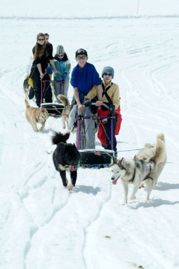 Vous êtes les premiers, vous avez gagné 2 huskies ! En peluche bien-sur !