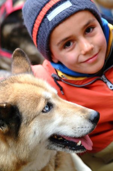 Leçon de mushing aujourd’hui ! Rendez-vous dans le bois du bouchet avec Séb et sa meute de huskies.