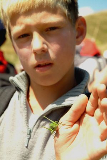 David, lui, est plutôt branché insecte, ça prend moins de place dans la chambre !