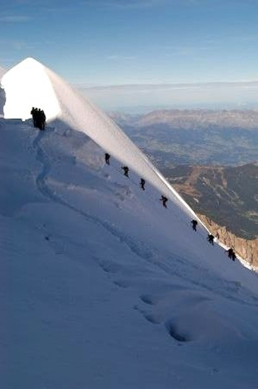 Un travail de fourmis pour escalader une montagne !