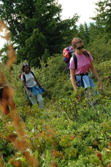 « Qu’elles sont vertes les montagnes ! Quand je pense qu’en hiver, c’est blanc partout, on n’aurait jamais trouvé notre chemin ! »