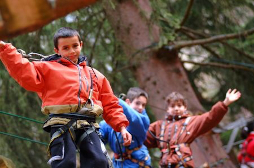 Le Bonhomme-beau est un singe à pelage multicolore apperçu exclusivement dans la forêt des Houches…