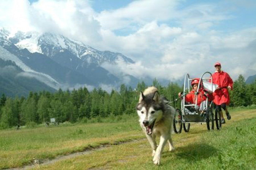 Arrête ton char Ben Hur !