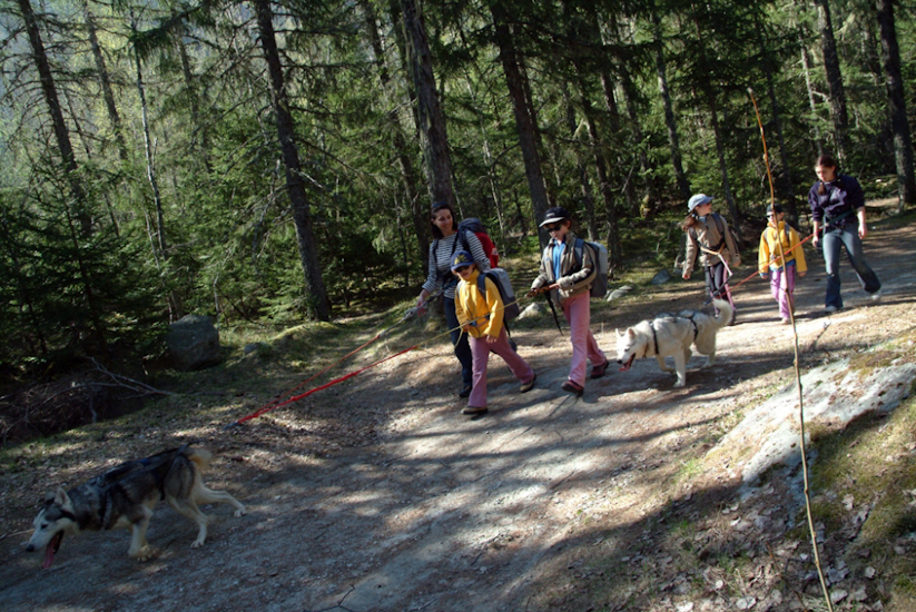 En tout cas, avec eux, on ne va pas se perdre en forêt !