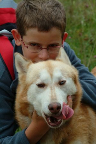 Attention, chien léchant !