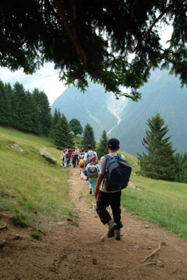 C’est reparti vers le bas du parc. Tous, respectueux, suivent le sentier réservé.
