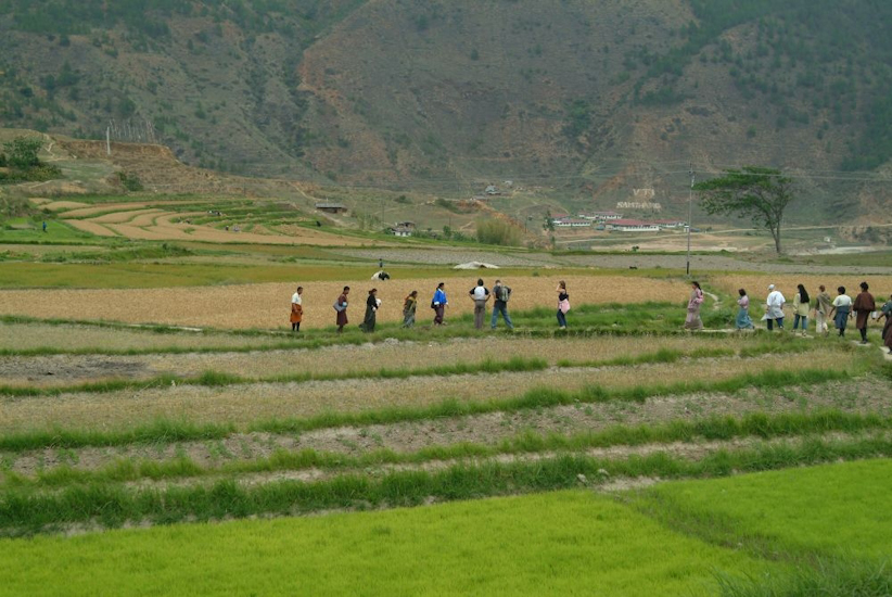 L’après-midi, il fait un peu moins chaud, nous traversons les rizières pour monter jusqu’au monastère de Chimi Lhakhang, dzong de la fécondité. / In the afternoon it is a bit cooler. We walked through the rice fields up to the Chimi Lhakhang monastery, th
