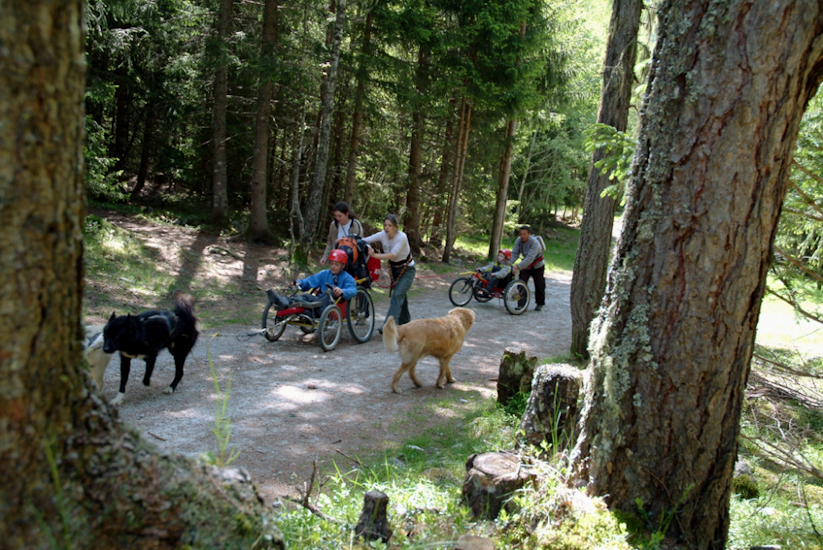 Même dans les bois, on ne risque pas de se perdre, les chiens connaissent la route par cœur !