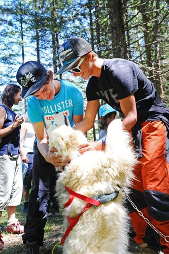 Découverte du cani-rando: Solal et Ronan font connaissance avec les huskies