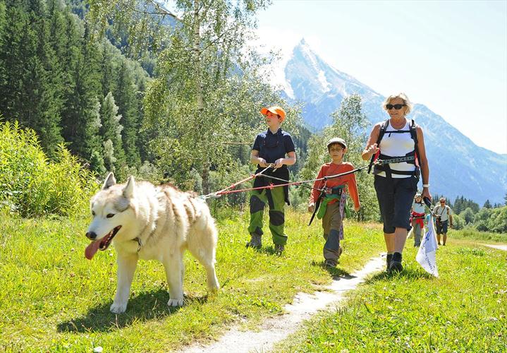 Xavier, Nicolas et Martine bille en tête