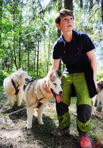 Difficile de quitter ces beaux compagnons de randonnées