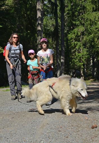Puis on démarre la balade : 8 km dans la forêt ici Elise Justine et Marine