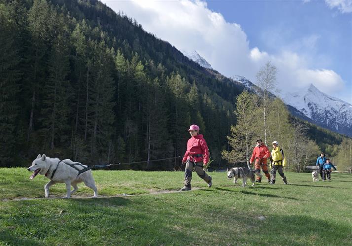 démarrage de la cani rando pour le premier groupe : direction " le désert blanc"