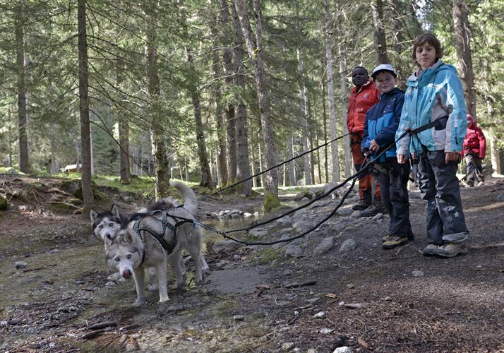 Alicia, Simon et Terence font boire les husky