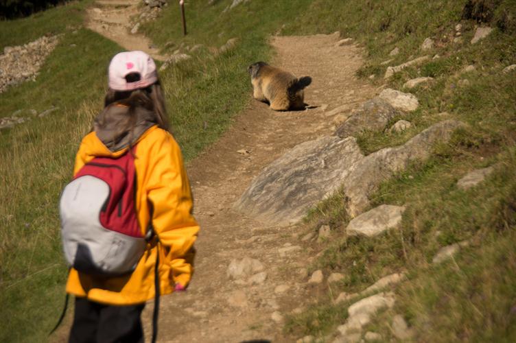 Alicia à la rencontre de Blandine la marmotte