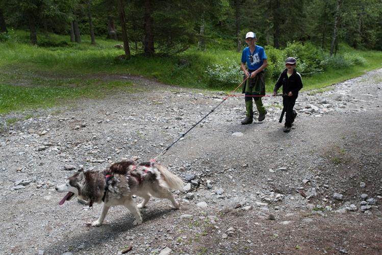 Cours Forest !